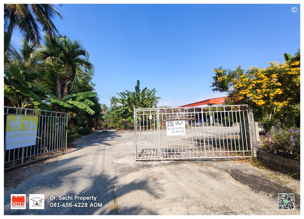 For SaleLandLamphun : Land for sale area 5-0-79.4 rai, Lamphun city. Near Nong Dok Fresh Market, Queen Chamthewi Monument.