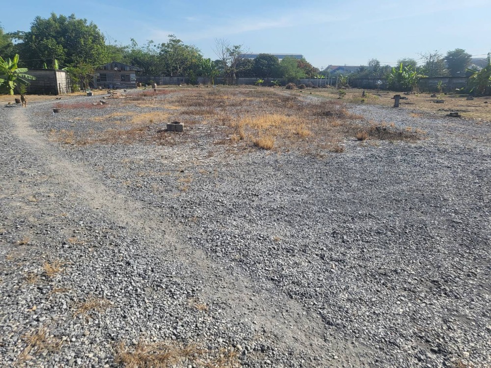 For RentShophousePathum Thani,Rangsit, Thammasat : Land for rent in Pathum Thani area