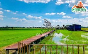 For SaleLandSing Buri : Land with 3 houses, Anchom Subdistrict, Tha Chang District, Singburi, area 347.7 square wah (near Jaiphian Wittayanusorn School)