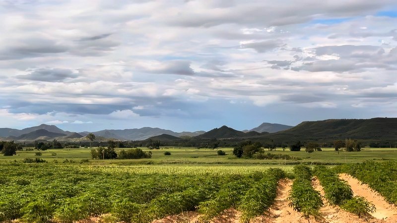 For SaleLandKanchanaburi : Land for sale in Nong Prue, Kanchanaburi, near Nong Prue District. Located on a hill with a beautiful mountain view, Nong Prue District, Kanchanaburi.