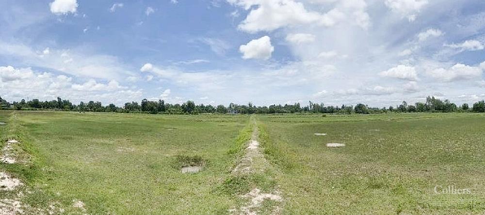 For SaleLandBuri Ram : Large Residential Plot in Buriram For Sale