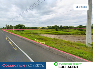 For SaleLandBuri Ram : 🔥 Hot Deal 🔥 Land for sale, 31 rai, adjacent to Highway 226, Lam Plai Mat - Huai Thalaeng, four-lane road, main route, Buri Ram - Nakhon Ratchasima.