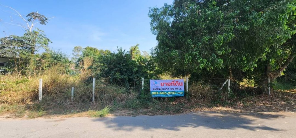 For SaleLandKorat Nakhon Ratchasima : Beautiful vacant land for sale, 60 sq m., Baan Yu Dee House Project, Soi 4, Nakhon Ratchasima Province, close to Suranaree University of Technology.