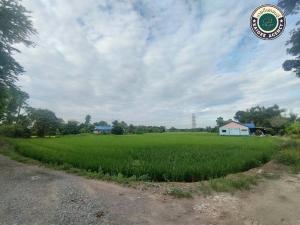 For SaleLandMin Buri, Romklao : There are many plots of land for sale, Soi Wat Sukjai, Nimitmai, Bueng Taeng Mo, Mitmaitri, Khu Left, Khu Right, Benchadot Pracharn Ruamjai, Minburi, Suwinthawong.