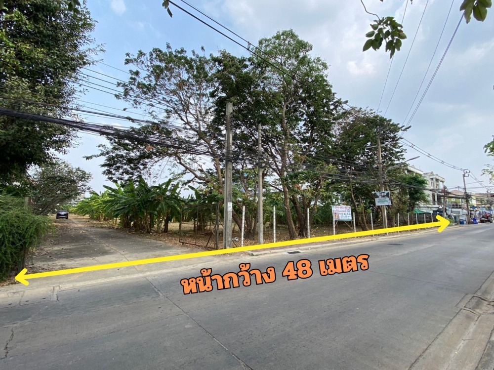 For SaleLandRama5, Ratchapruek, Bangkruai : Empty land for sale Soi Phra Mae Mahakarun Tiwanon 4-0-87.9 rai.