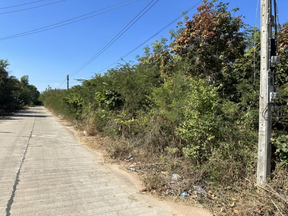 For SaleLandYasothon : Land for sale, next to the road, rubber plantation, has water and electricity.