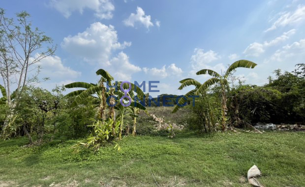 For SaleLandPattanakan, Srinakarin : Land for Sale in Krung Thep Kritha 5 Rai 12 Sq.w