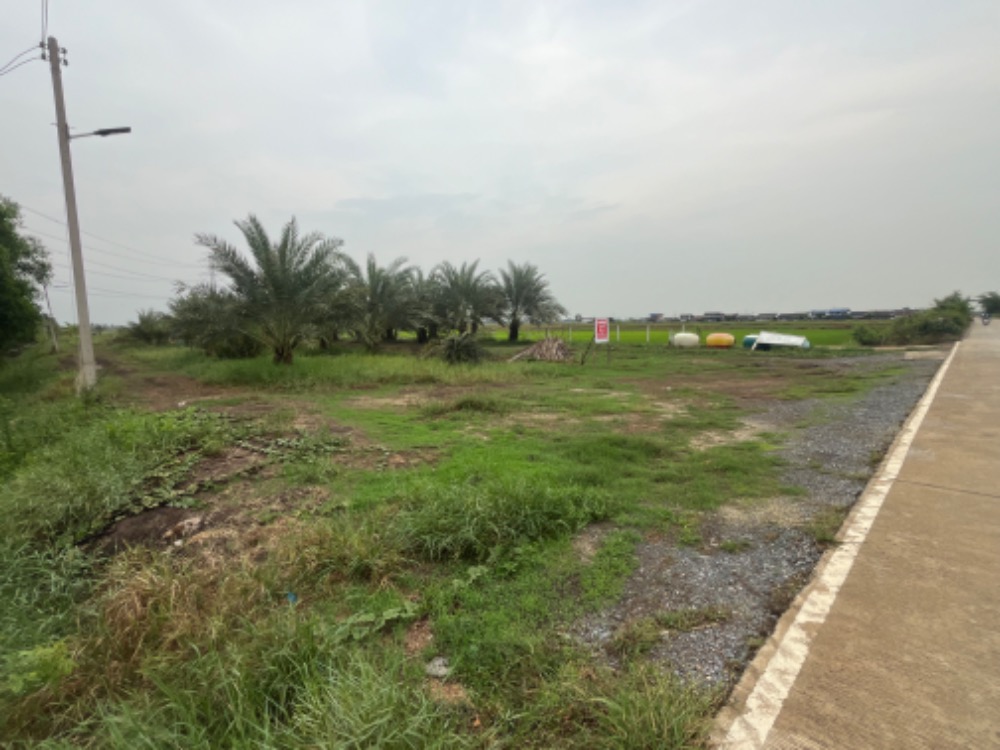 For SaleLandChachoengsao : Urgent sale! Land already filled with a house, 3 rai, next to Khlong 15 Road, Bueng Nam Rak, 15 minutes from Bangkok.