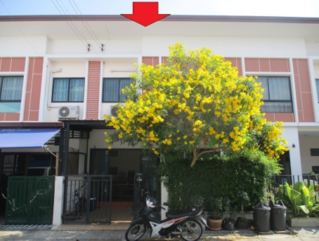 For SaleTownhousePathum Thani,Rangsit, Thammasat : 2-story townhouse for sale, JSP City@Rangsit-Baan Ruen Rom, 17.8 sq m., 4 bedrooms, 2 bathrooms, Thanyaburi, Pathum Thani.