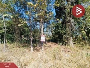 For SaleLandKorat Nakhon Ratchasima : Urgent sale of land, area 17 rai 57 square wa, Pak Thong Chai, Nakhon Ratchasima.