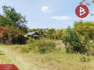 For SaleLandSurin : Empty plot of land for sale, area 8 rai 22 square wah, Tenmee, Surin.