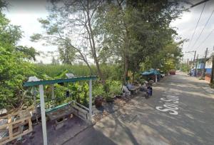 ขายที่ดินปทุมธานี รังสิต ธรรมศาสตร์ : Beautiful Pathum Thani Land for sale 240 square wah