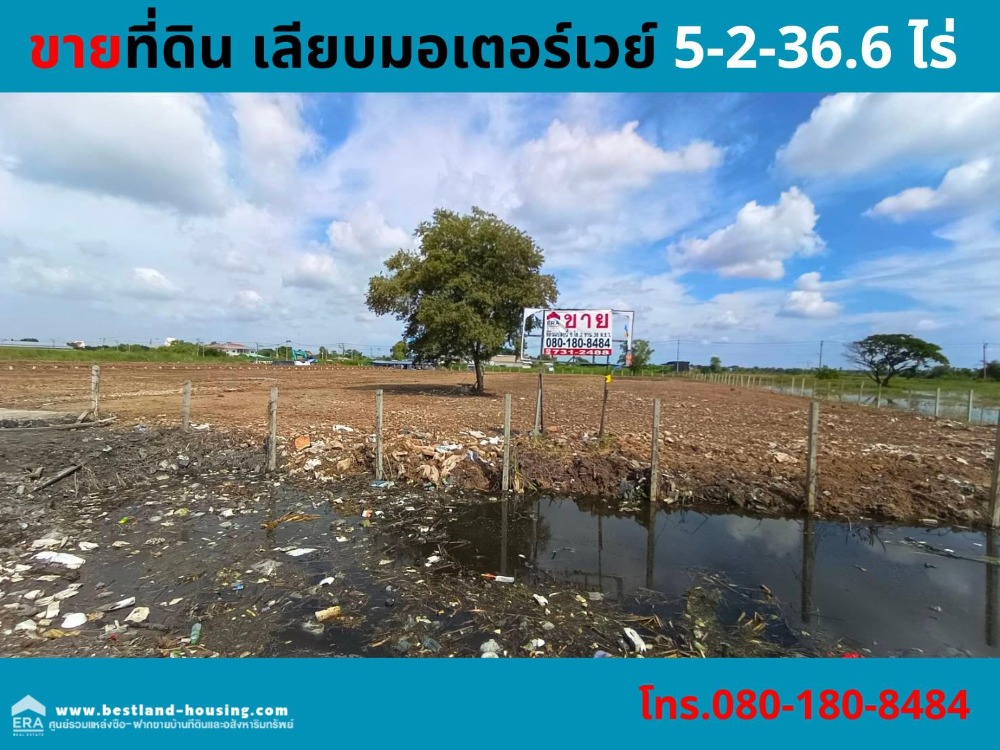 ขายที่ดินปทุมธานี รังสิต ธรรมศาสตร์ : ขายที่ดิน 5 ไร่ 2 งาน 36 ตารางวา เลียบมอเตอร์เวย์ คลองหลวง ปทุมธานี เหมาะทำโกดังโรงงาน