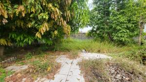 For SaleLandChokchai 4, Ladprao 71, Ladprao 48, : Urgent sale, land in Soi Ruamchok, Chokchai 4, size 42 sq m, excellent location and environment.