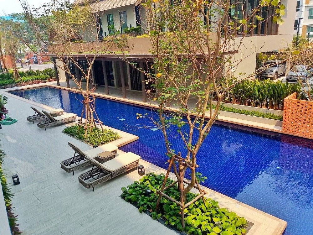 ให้เช่าคอนโดเชียงใหม่ : ให้เช่า(For Rent) D Condo Rin Chiang Mai วิวสระ