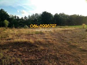 For SaleLandPhetchabun : Land for sale, Nong Phai District, Phetchabun, title deed, Krut Daeng, area 3-2-2 rai, in the municipal area. The entire plot has been filled in, selling for 3.5 million.