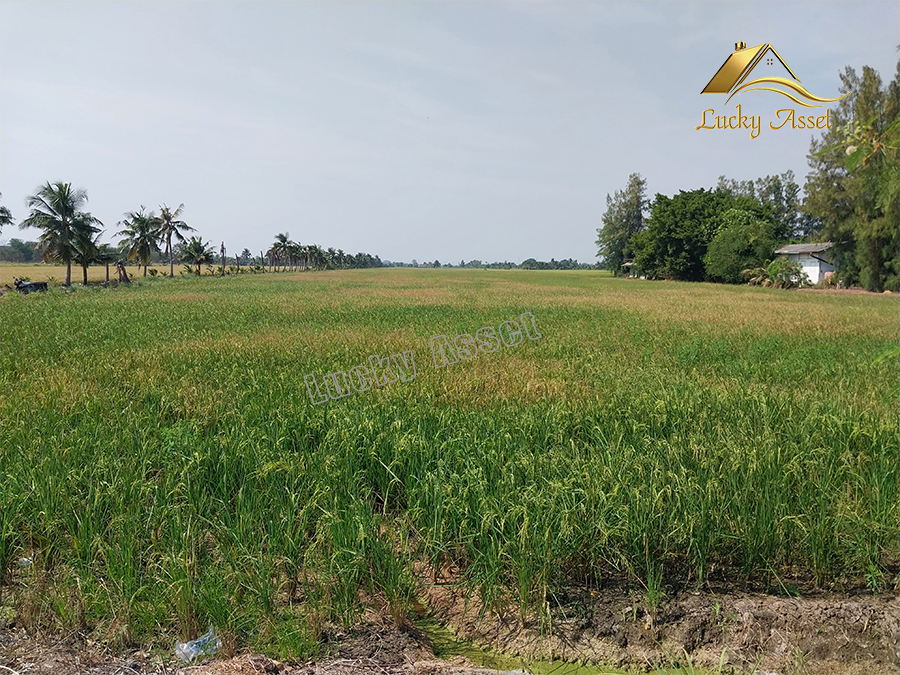 For SaleLandChachoengsao : Land 41 rai 17 square (2 plots) Khlong Udom Chonchan Subdistrict. Mueang Chachoengsao District, Chachoengsao Province, price 205.2125 million baht (5 million per rai)