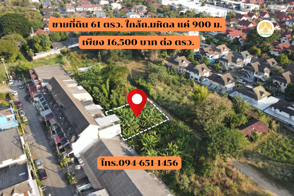 For SaleLandChiang Mai : Empty land for sale, 61 sq m., close to Mahidol Road, only 900 meters, only 16,500 baht per sq m. Definitely cheaper than neighboring plots.