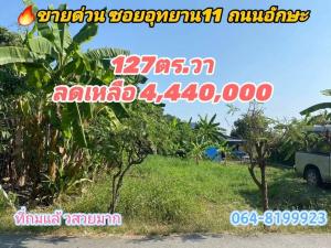 For SaleLandPhutthamonthon, Salaya : Land for sale, Aksa Road, Phutthamonthon