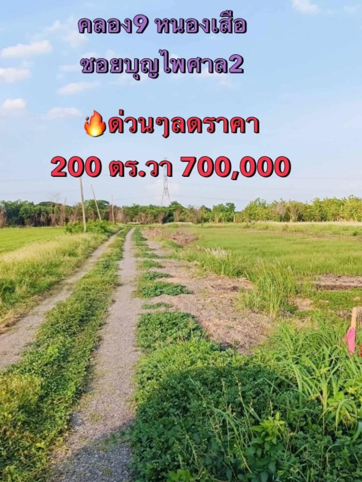 ขายที่ดินปทุมธานี รังสิต ธรรมศาสตร์ : ที่ดินแบ่งขายคลอง9 ขายถูก