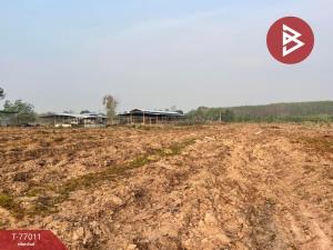 For SaleLandUbon Ratchathani : Empty land for sale, area 44 rai 3 ngan 11 square wah, Nam Yuen, Ubon Ratchathani.