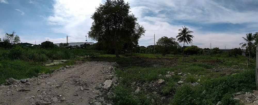 For SaleLandSamut Prakan,Samrong : Land for sale 4,520 sq.m. : Namdang-Bangplee Rd.