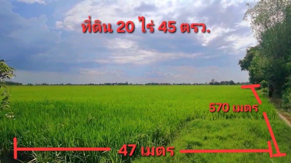 For SaleLandAyutthaya : Land for sale per rai 6 hundred thousand 🔥 (Owner selling it himself) Beautiful plot of land, 20 rai 45 sq m., Lat Bua Luang District, Ayutthaya Province, next to a paved road, electricity, water ready.