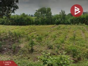 For SaleLandLop Buri : Empty land for sale, area 1 ngan 60 square wah, Chai Badan, Lopburi