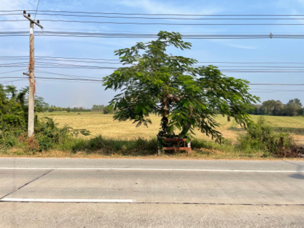 For SaleLandSuphan Buri : Land for sale, Rai Rot Subdistrict, Don Chedi District, Suphanburi Province, 26-1-1.7 rai, next to a 4-lane main road.