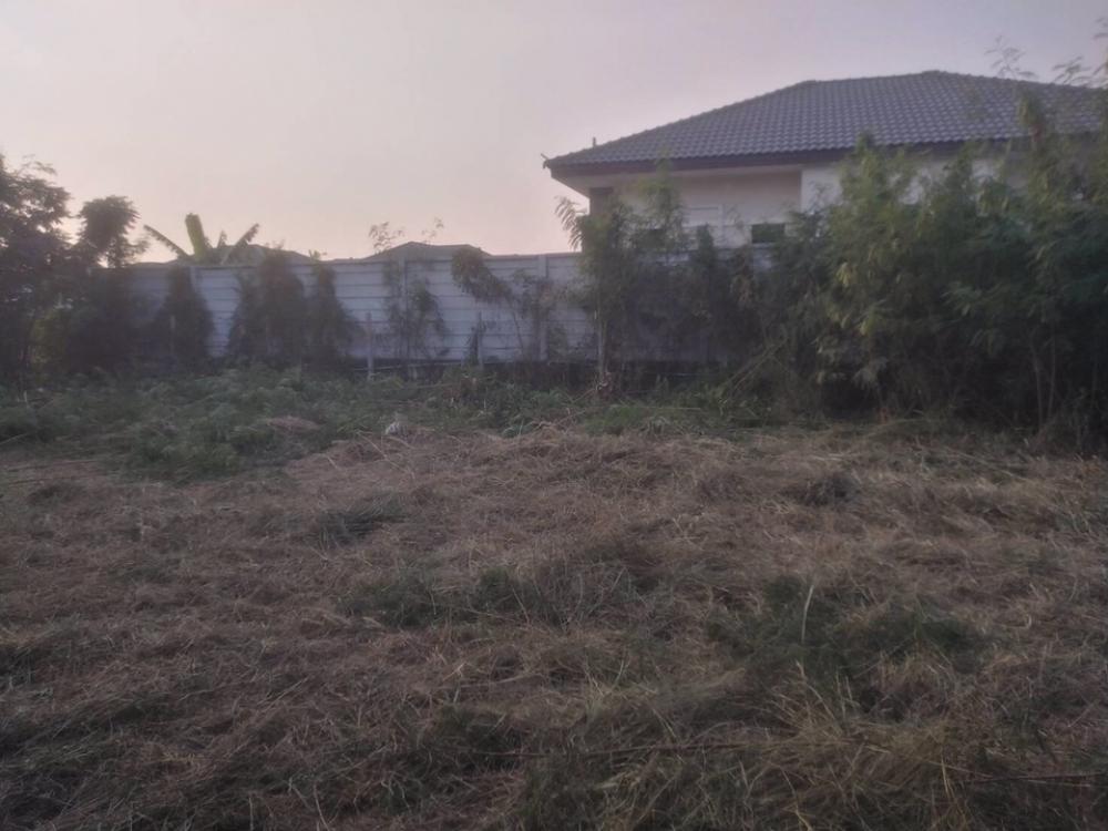 For SaleLandSaraburi : (Owner is selling) Land for sale in Daoreuang Subdistrict, Mueang District, Saraburi Province, suitable for building a house (land behind the Dream Village 16 project)