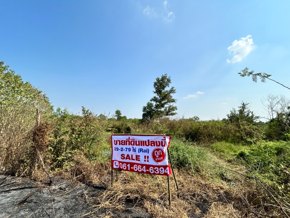 For SaleLandNakhon Nayok : Land for sale, Nakhon Nayok, 29-2-79 rai, very cheap!!