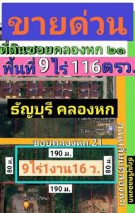 ขายที่ดินปทุมธานี รังสิต ธรรมศาสตร์ : ขายที่ดินธัญบุรีคลอง6 ซอยคลองหก21 คลองหลวง ใกล้ศาลธัญบุรี ม.เทคโนราชมลคล ทางด่วนกาญจนาภิเษก สนามบินดอนเมือง โรงพยาบาล แม็คโคร โลตัส โรงเรียน