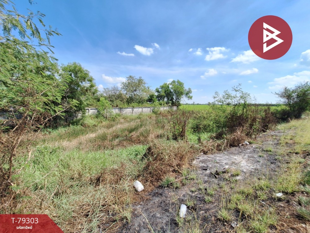 For SaleLandAyutthaya : Land for sale, area 228 square meters, Bang Sai District, Phra Nakhon Si Ayutthaya. Near Bang Sai Hospital