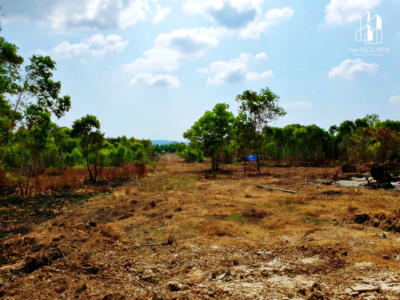 For SaleLandHatyai Songkhla : Land for sale next to the sea Near Lopburi Ramesuan Road Next to Songkhla Lake, Nam Noi Subdistrict, Hat Yai District, Songkhla Province.