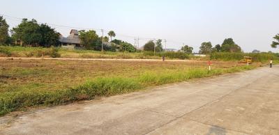 For SaleLandPathum Thani,Rangsit, Thammasat : Quick sale of land reclamation, 247 square meters, Khlong 4, Rangsit-Nakhon Nayok, 39,000 baht per square wah (the owner sells)