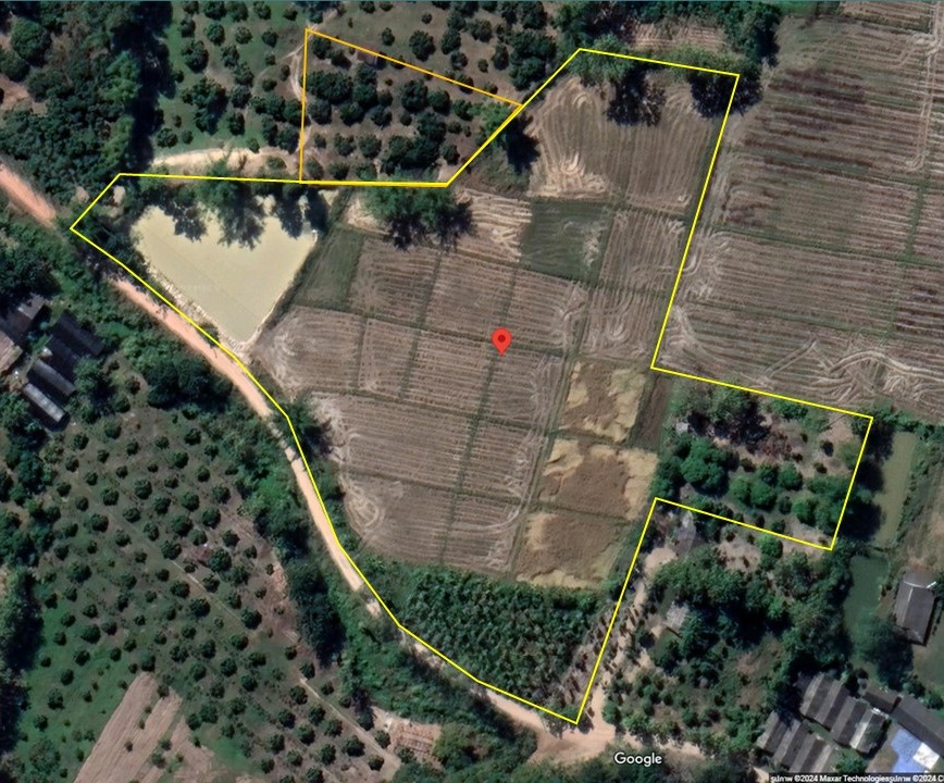 For SaleLandChiang Rai : Land for sale with 10 rai with pond (get free 1 rai of longan orchard hill)