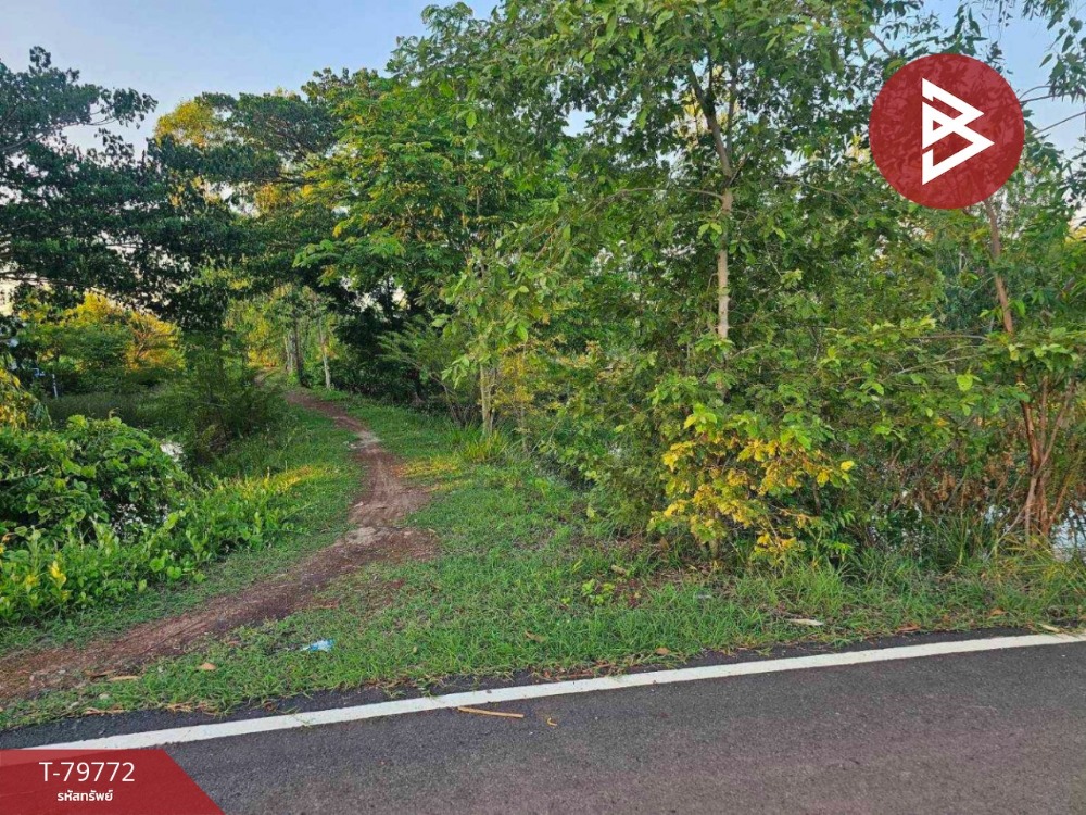 For SaleLandSakon Nakhon : Land for sale, area 11 rai 2 ngan 33.2 square wah, Sawang Daen Din, Sakon Nakhon