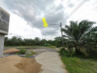 For SaleLandKoh Samui, Surat Thani : Land for sale, Kanchanadit land near Si Yaek Puang, 27 rai, 2 ngan, 57 sq w, palm plantation ready for sale. Suitable for regional projects