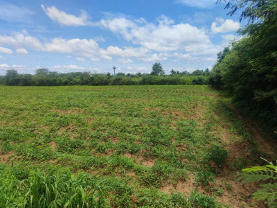 For SaleLandKanchanaburi : L080913 Empty land for sale, 14 rai 3 ngan 72 sq m, Kanchanaburi Province.