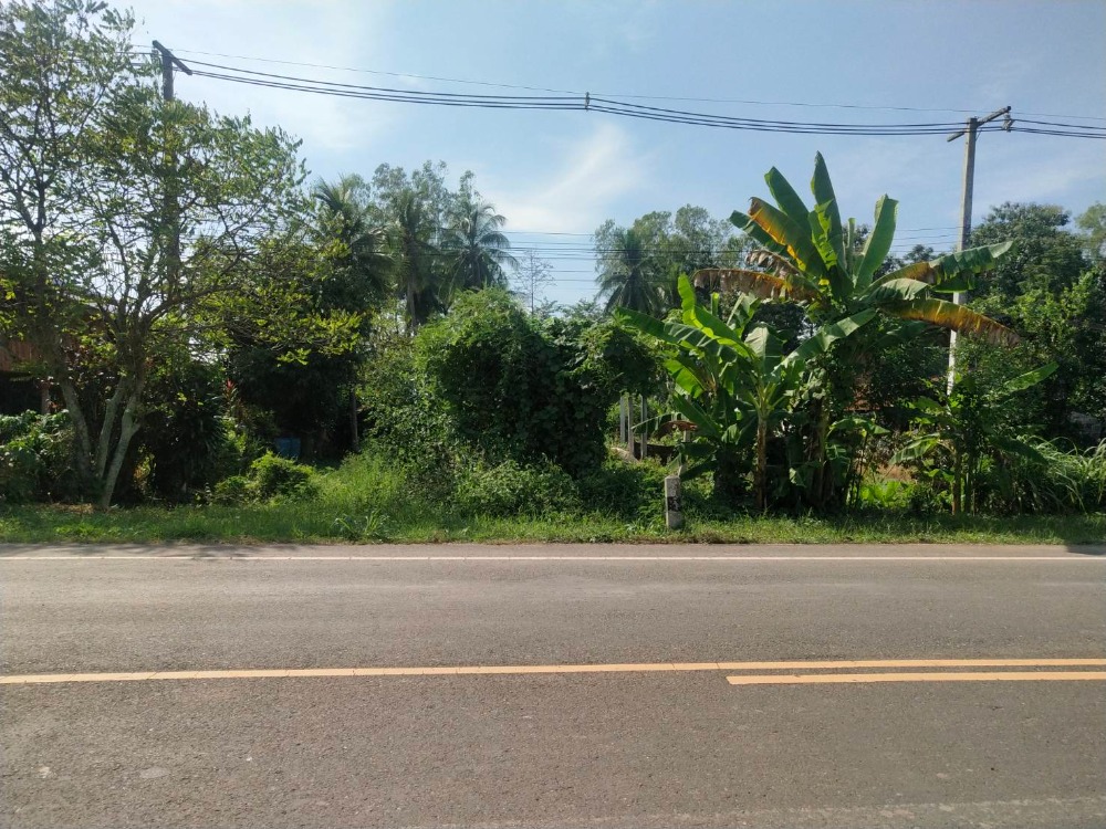 For SaleLandPhetchabun : Land for sale, 1 rai, Muang Phetchabun, Dong Mun Lek Subdistrict, Mueang District, Phetchabun Province, near the community market.