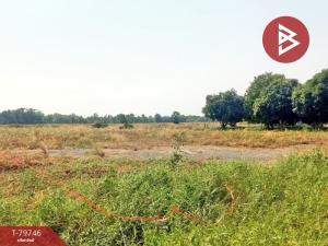 For SaleLandNakhon Nayok : Land for sale, area 20 rai 3 ngan 37 square wah, Ban Na, Nakhon Nayok.