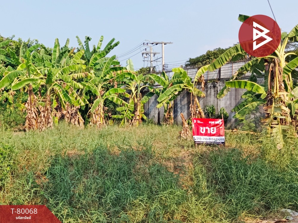 For SaleLandNonthaburi, Bang Yai, Bangbuathong : Land for sale, area 1 ngan, Bang Rak Noi, Nonthaburi