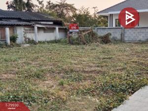 For SaleLandChiang Mai : Land for sale, already filled, area 50 square meters, Benjarat Village 2 Nong Faek-Saraphi, Chiang Mai