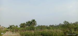 For SaleLandNakhon Pathom : Land for sale in Bang Rakam, Nakhon Pathom, near Nakhon Pathom Airport.