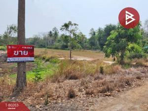 For SaleLandUthai Thani : Empty land for sale, area 7 rai 2 ngan 80 square wah, Nong Chang, Uthai Thani.