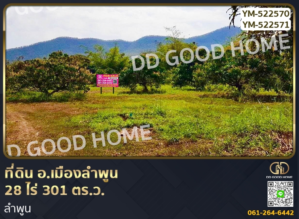 ขายที่ดินลำพูน : 📢ที่ดิน อ.เมืองลำพูน 28 ไร่ 301 ตร.ว. ลำพูน