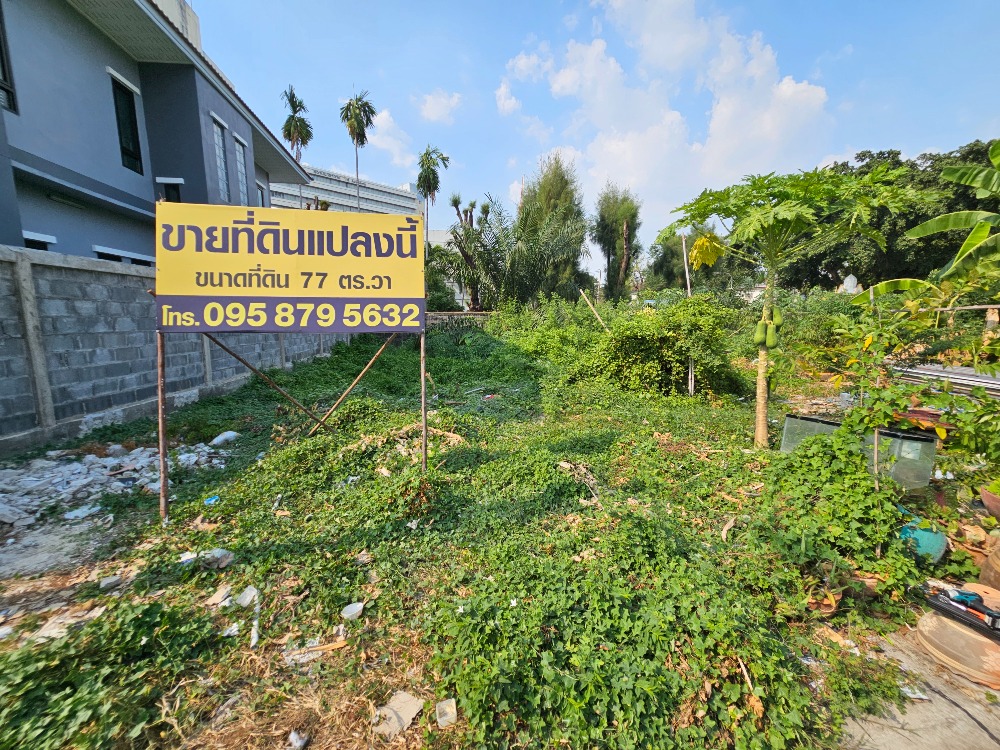 For SaleLandChaengwatana, Muangthong : Empty land for sale Soi Ngamwongwan 9, Intersection 4, land size 77 square wah.