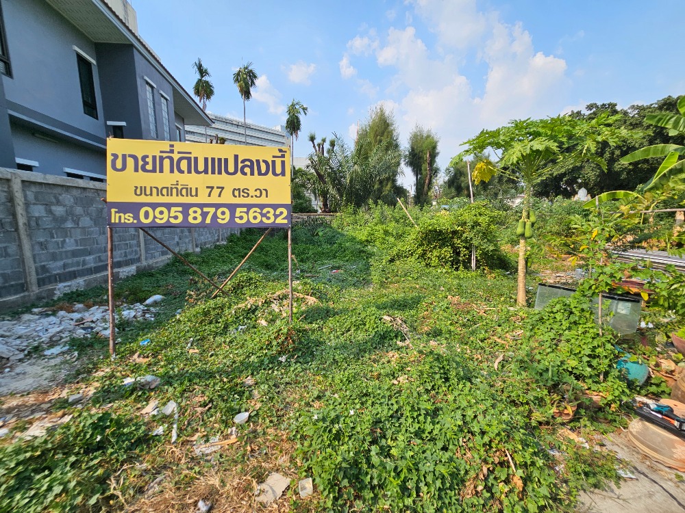 For SaleLandChaengwatana, Muangthong : Land for sale, Soi Ngamwongwan 9, Intersection 4, land size 77 square wah