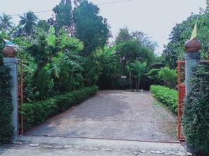 For SaleLandRatchaburi : For Sale Prime Location in Ratchaburi City 0-1-75.4 rai meters