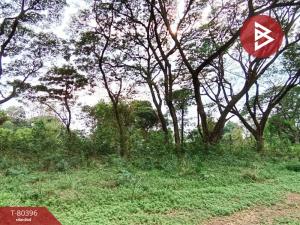 For SaleLandSaraburi : Empty land for sale, area 98.8 square meters, Pak Phriao, Saraburi